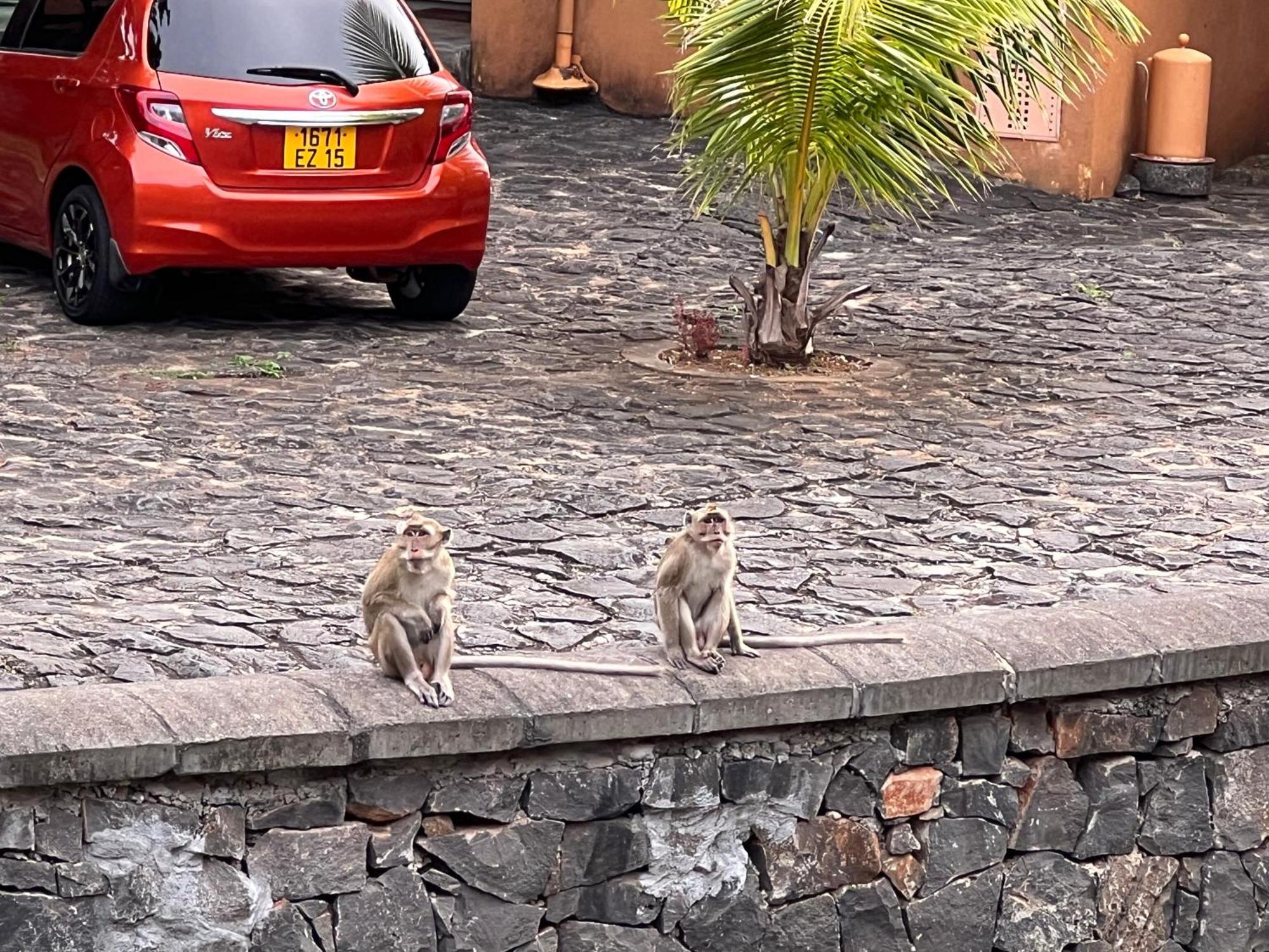 Villa In Port Chambly ,Mauritius Terre Rouge  Zewnętrze zdjęcie